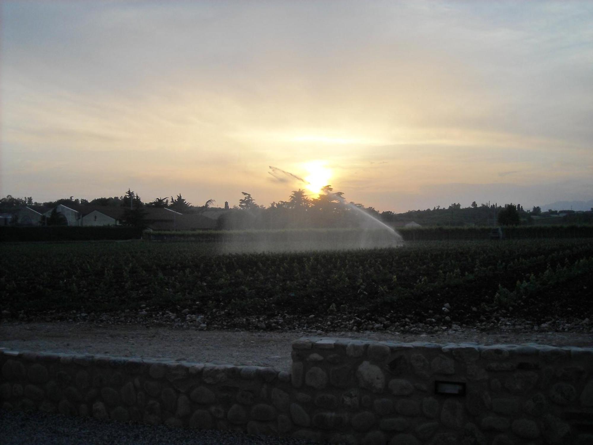 Agriturismo Le Campagnole Μπαρντολίνο Εξωτερικό φωτογραφία